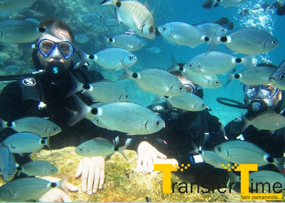 Antalya Tauchtour